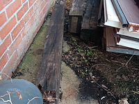 Lot 192 - treinbilzen - afbeelding 3 van  3