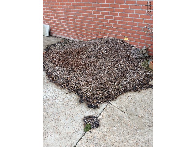 Lot 193 - boomschors - afbeelding 1 van  2