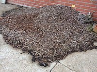 Lot 193 - boomschors - afbeelding 1 van  2