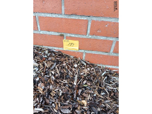 Lot 193 - boomschors - afbeelding 2 van  2