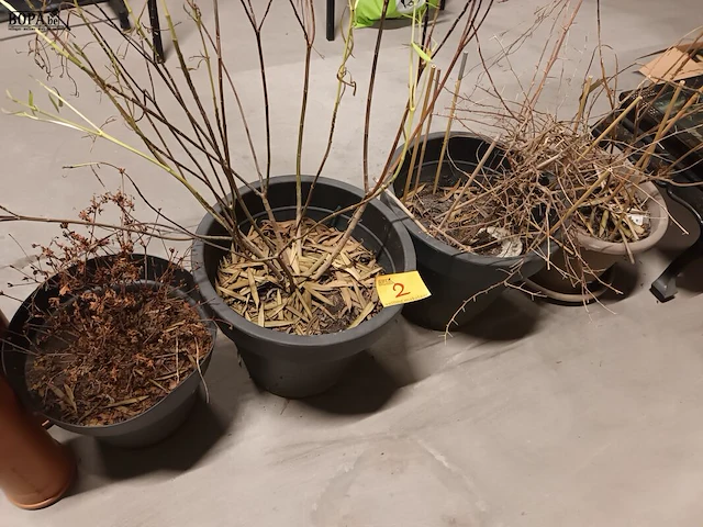 Lot 2 - bloempotten. 4 stuks - afbeelding 1 van  3