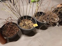 Lot 2 - bloempotten. 4 stuks