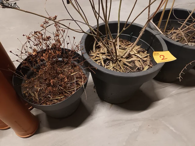 Lot 2 - bloempotten. 4 stuks - afbeelding 2 van  3