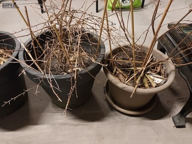 Lot 2 - bloempotten. 4 stuks - afbeelding 3 van  3