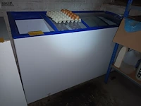 Lot 210 - diepvrieskist met schuifdeuren - afbeelding 2 van  4