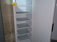 Lot 218 - topcold diepvrieskast - afbeelding 1 van  4