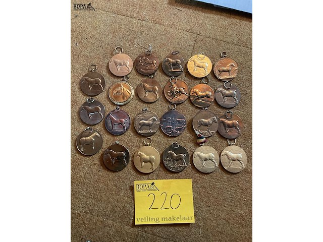 Lot 220 - verzameling koperen brons medailles veekeuring paarden - afbeelding 1 van  4
