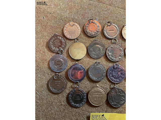 Lot 220 - verzameling koperen brons medailles veekeuring paarden - afbeelding 3 van  4