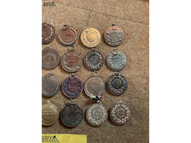 Lot 220 - verzameling koperen brons medailles veekeuring paarden - afbeelding 4 van  4