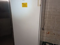 Lot 223 - diepvrieskast miele - afbeelding 1 van  3