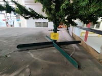 Lot 225 - kerstboom - afbeelding 3 van  3