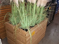 Lot 23 - houten plantenbak. 2 stuks - afbeelding 2 van  4