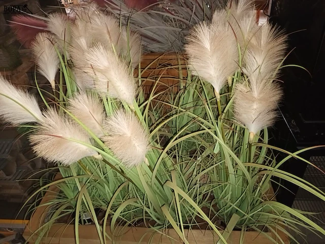 Lot 23 - houten plantenbak. 2 stuks - afbeelding 4 van  4