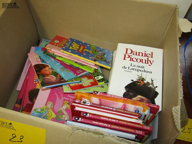 Lot 23 - verpakkingsdozen en boeken - afbeelding 2 van  3