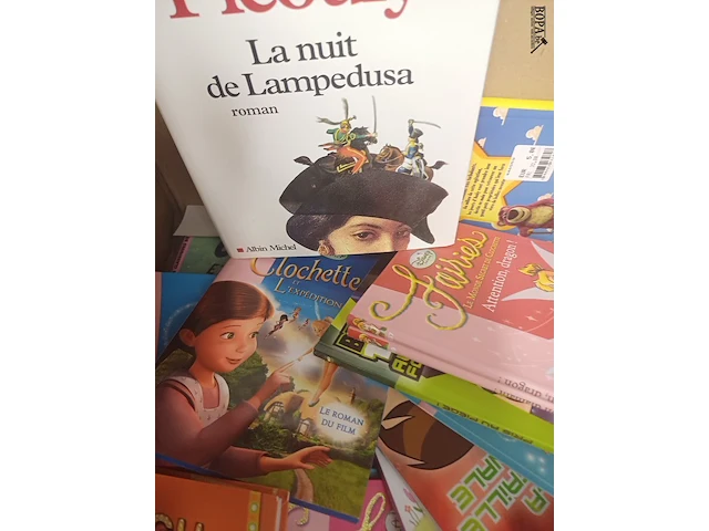 Lot 23 - verpakkingsdozen en boeken - afbeelding 3 van  4