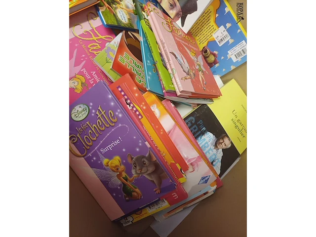 Lot 23 - verpakkingsdozen en boeken - afbeelding 4 van  4