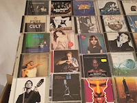 Lot 230 - grote partij cd's circa 72 ex. - afbeelding 2 van  5