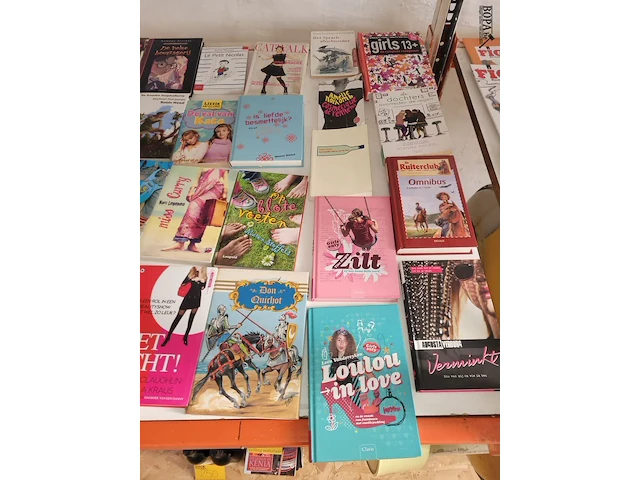 Lot 232 - partij boeken 29 ex. - afbeelding 3 van  3
