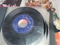 Lot 235 - grote partij vinylplaten + 1 cassette - afbeelding 6 van  6