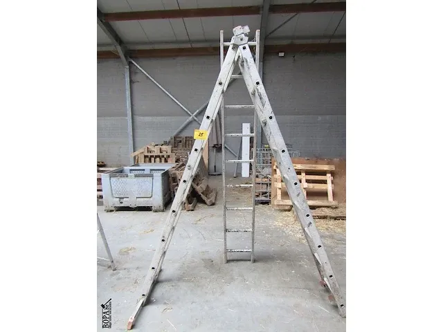 Lot 25 - uitschuifbare ladder - afbeelding 1 van  3