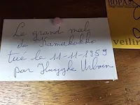Lot 25 - waterbuffel hoorns van 11-11-1959 - afbeelding 5 van  5