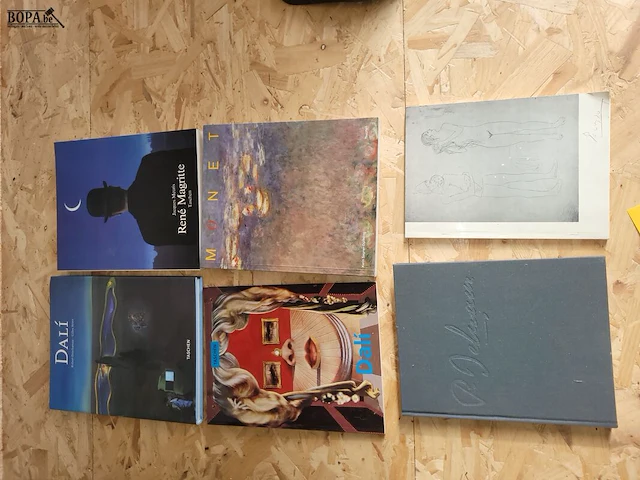 Lot 254 - partij kunstboeken 6 ex. - afbeelding 1 van  4
