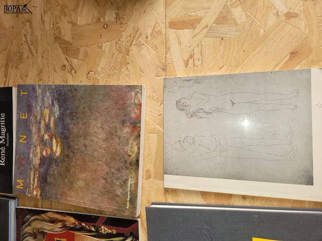Lot 254 - partij kunstboeken 6 ex. - afbeelding 3 van  4