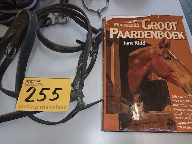 Lot 255 - paardenmateriaal. 11 stuks - afbeelding 2 van  4