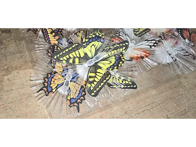 Lot 26 - grote vlinders en kleine lichtgevende vlinders - afbeelding 5 van  5
