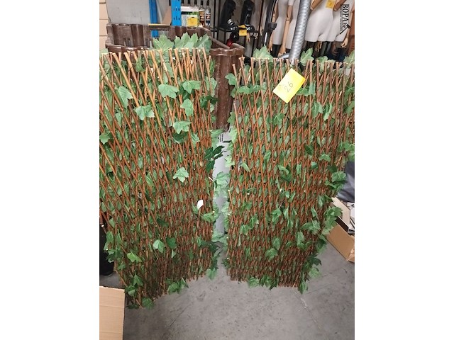 Lot 26 - kunsthaag. 2 stuks - afbeelding 2 van  3