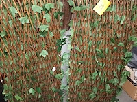 Lot 26 - kunsthaag. 2 stuks - afbeelding 2 van  3