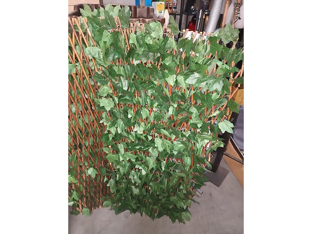 Lot 26 - kunsthaag. 2 stuks - afbeelding 3 van  3