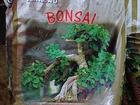 Lot 26 - verta bonsai potgrond - 5 stuks - afbeelding 1 van  3