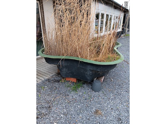 Lot 264 - visvijver - afbeelding 2 van  4