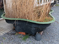 Lot 264 - visvijver - afbeelding 2 van  4