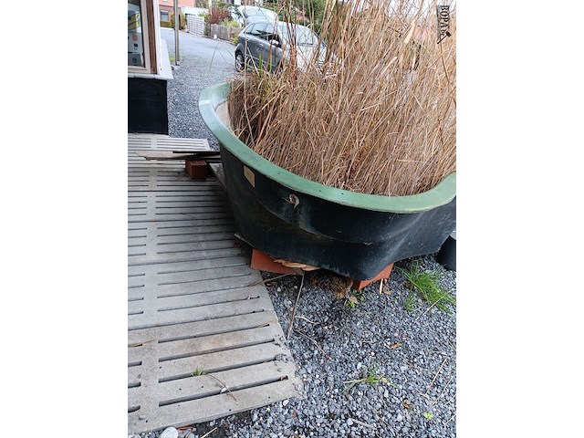 Lot 264 - visvijver - afbeelding 3 van  4