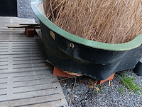 Lot 264 - visvijver - afbeelding 3 van  4