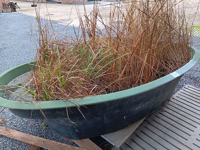 Lot 264 - visvijver - afbeelding 4 van  4