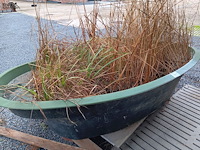 Lot 264 - visvijver - afbeelding 4 van  4