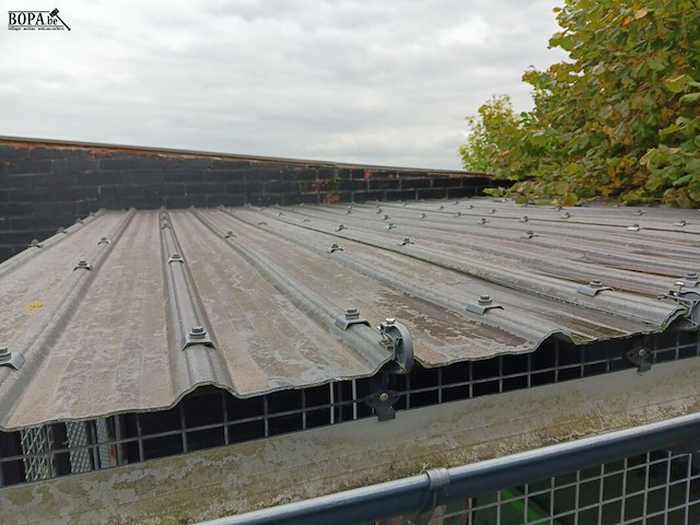 Lot 265 - hondenkennel - afbeelding 3 van  6