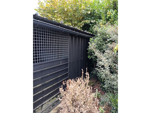 Lot 265 - hondenkennel - afbeelding 4 van  6