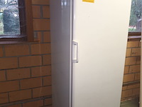 Lot 27 - diepvriezer electrolux - afbeelding 2 van  4