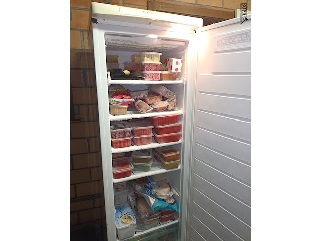 Lot 27 - diepvriezer electrolux - afbeelding 4 van  4