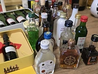 Lot 271 - diverse mini flesjes drank ong 42 stuks - afbeelding 8 van  9