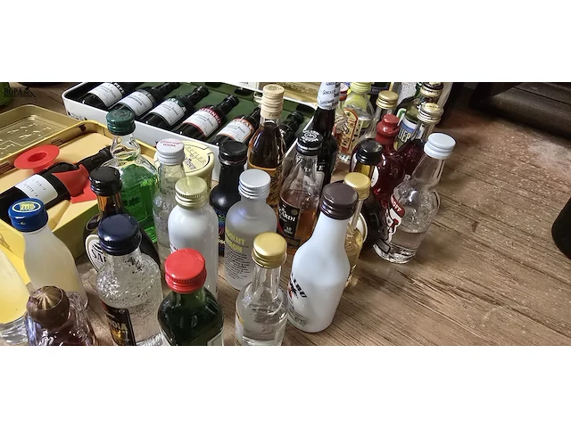 Lot 271 - diverse mini flesjes drank ong 42 stuks - afbeelding 9 van  9