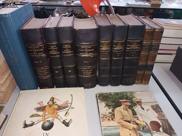 Lot 276 - antieke boeken. 50 stuks - afbeelding 2 van  7