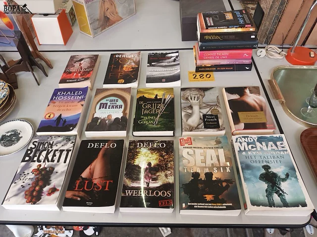 Lot 280 - leesboeken en romans. 20 stuks - afbeelding 1 van  4
