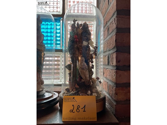 Lot 281 - vitrine antieke taxidermie met vogel en insecten - afbeelding 1 van  3