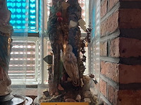 Lot 281 - vitrine antieke taxidermie met vogel en insecten - afbeelding 1 van  3