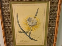 Lot 288 - faux bamboe kaders. 2 stuks - afbeelding 2 van  4